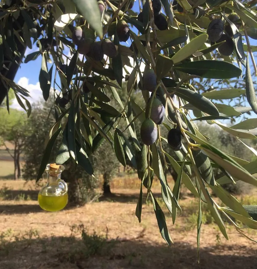 Séjour à la ferme Agriturismo La Valentina Nuova Talamone Italie