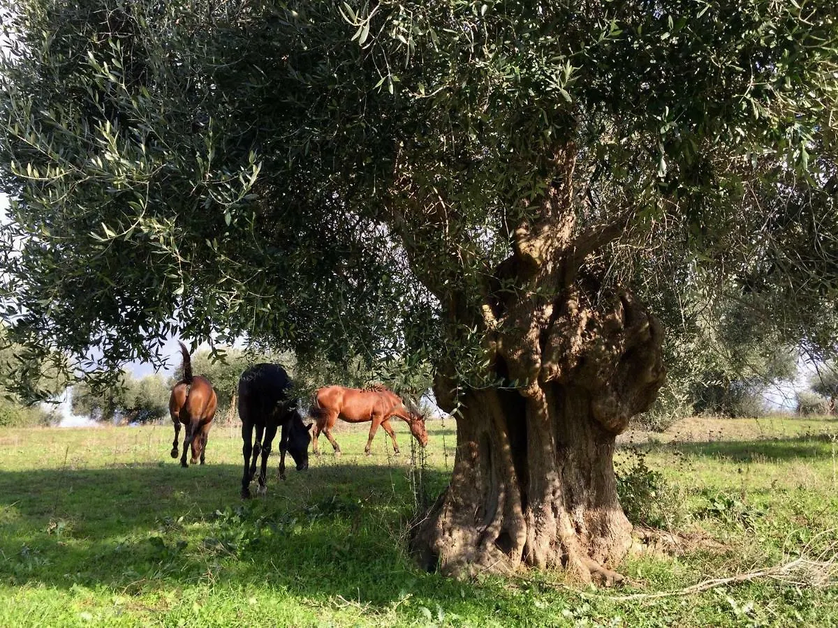 Agriturismo La Valentina Nuova Talamone 0*,  Italie